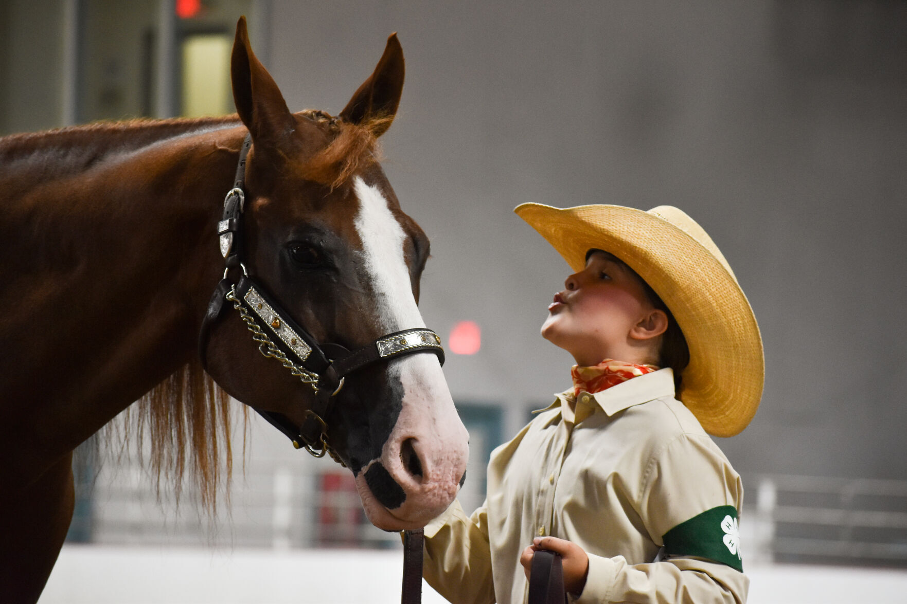 North Iowa Fair 10